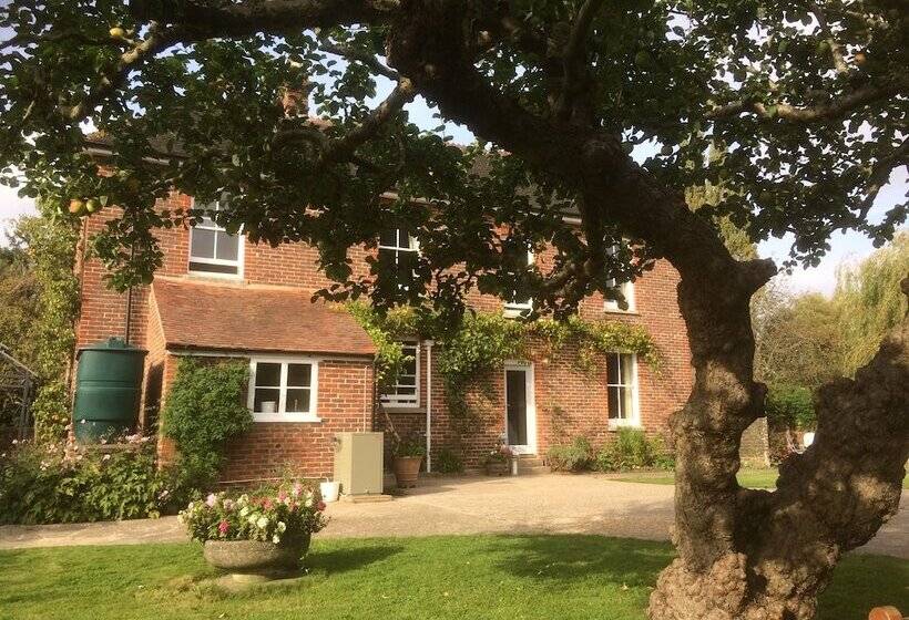 بنسيون Saddlers