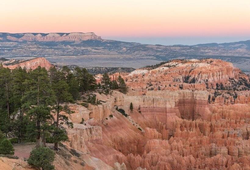 Ofland Escalante