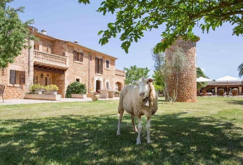 هتل Agroturismo Es Quatre Cantons