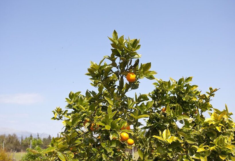 هتل Agroturismo Es Quatre Cantons
