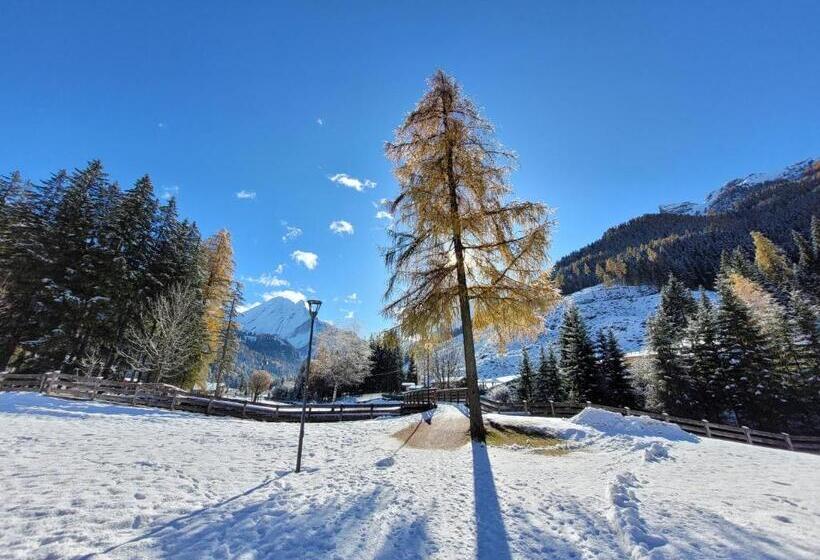 هتل Garni B&b Mozart Nesthouse