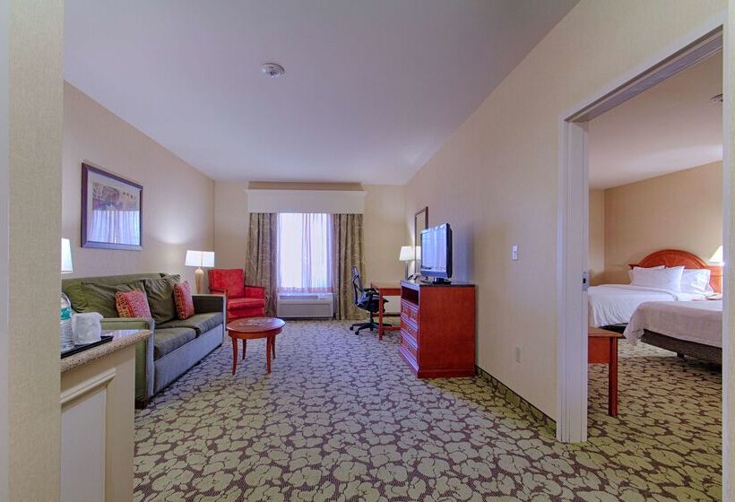 هتل Hilton Garden Inn Las Vegas Strip South