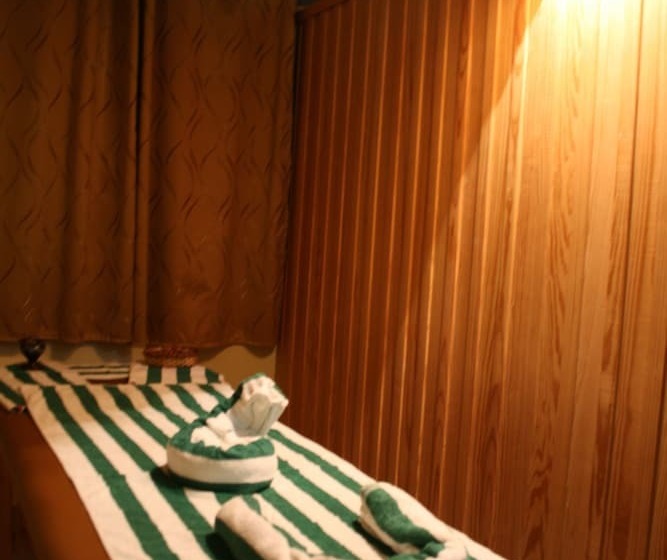 Fotos del hotel Holidays Express:  28