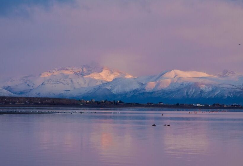 Fotos del hotel Las Dunas:  5