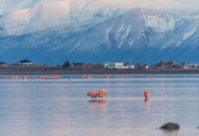 Fotos del hotel Las Dunas:  14
