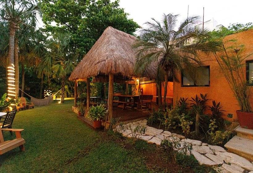 Fotos del hotel Lunata  5th Avenue:  29