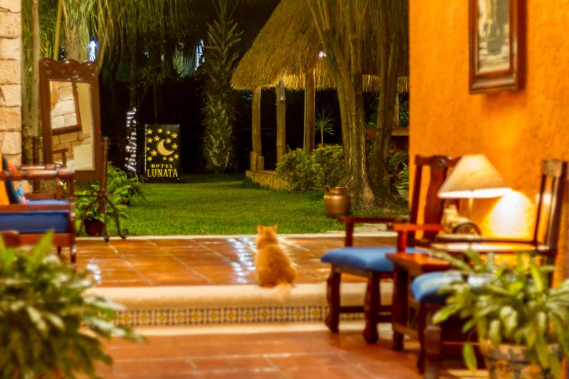 Fotos del hotel Lunata  5th Avenue:  41