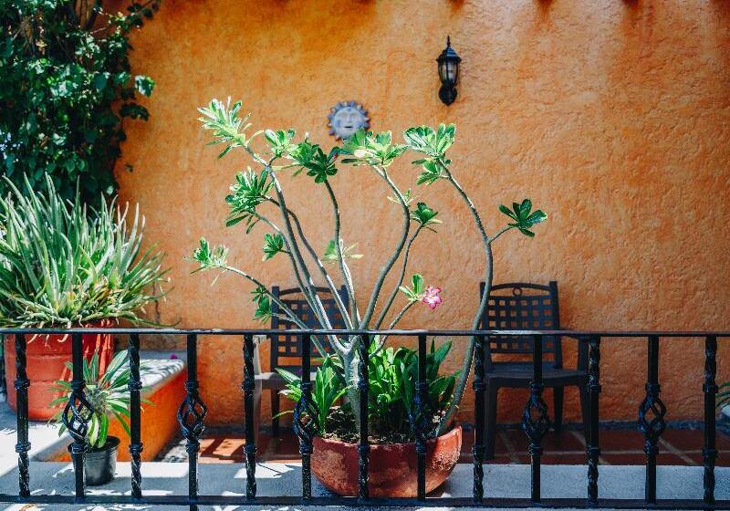 Fotos del hotel Lunata  5th Avenue:  51