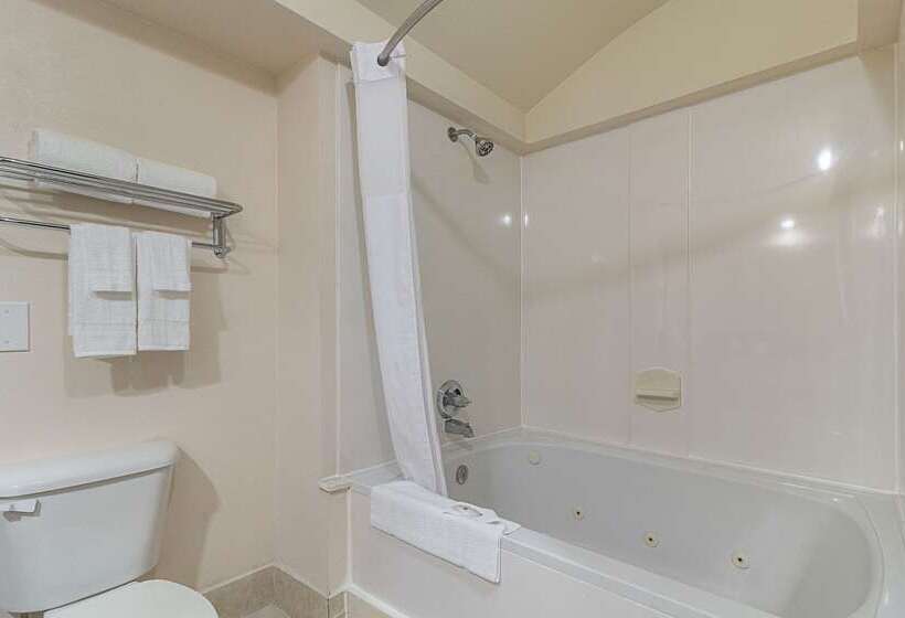 هتل Quality Inn & Suites West Chase