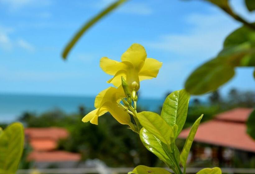 هتل Villa Terra Viva