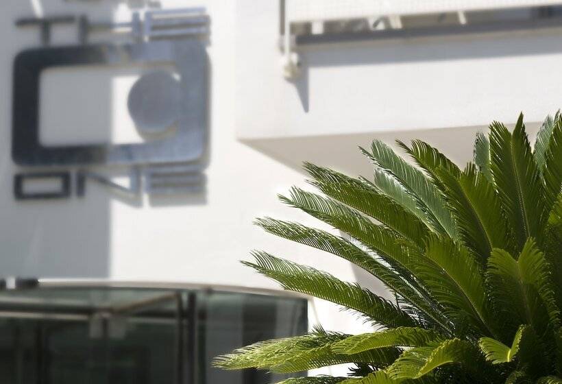 The One Hotel   Designed For Adults   Pet Lovers