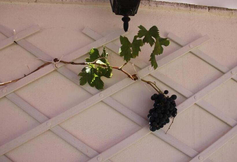B&b Albergo Sicilia