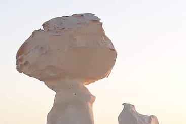 هتل White Desert Camp