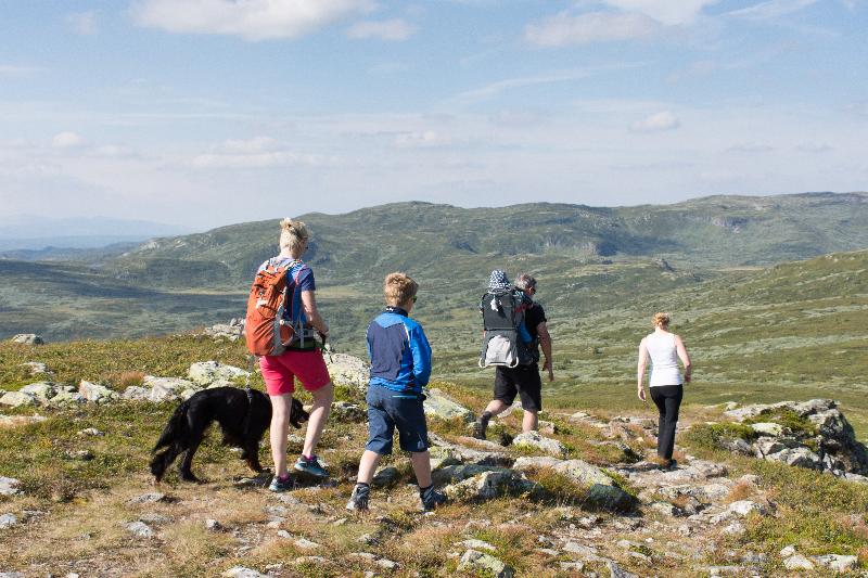 Skeikampen Booking