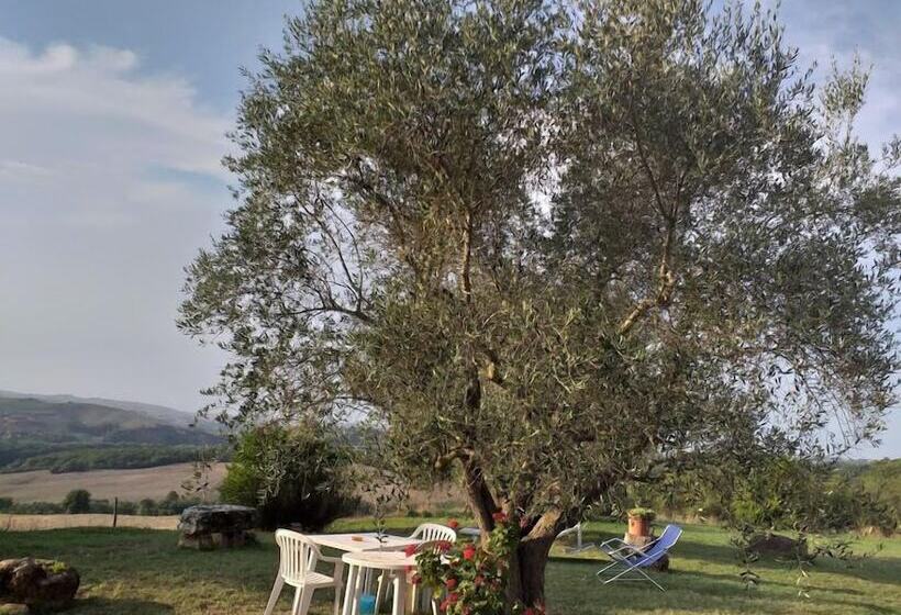 교외 호텔 Agriturismo Capannacce