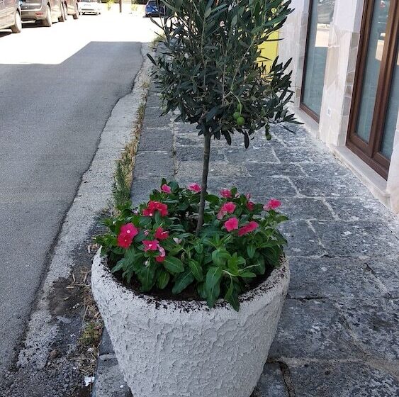 B&b Vecchia Darsena