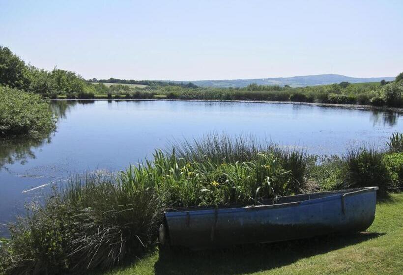 مبيت وإفطار Polhilsa Farm