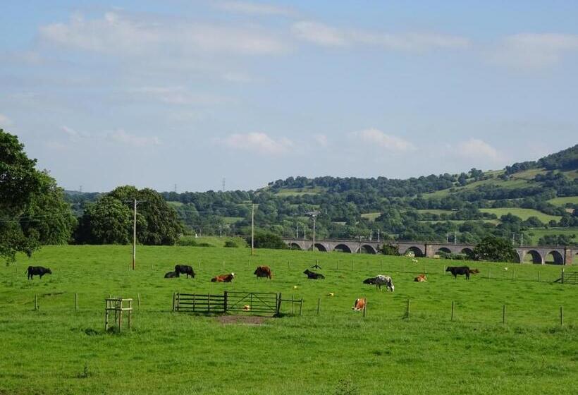 Bed and Breakfast Yew Tree Farm
