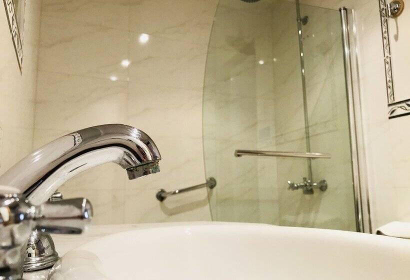 Fotos del hotel Le Vitral Baires Petit Hotel Boutique:  5