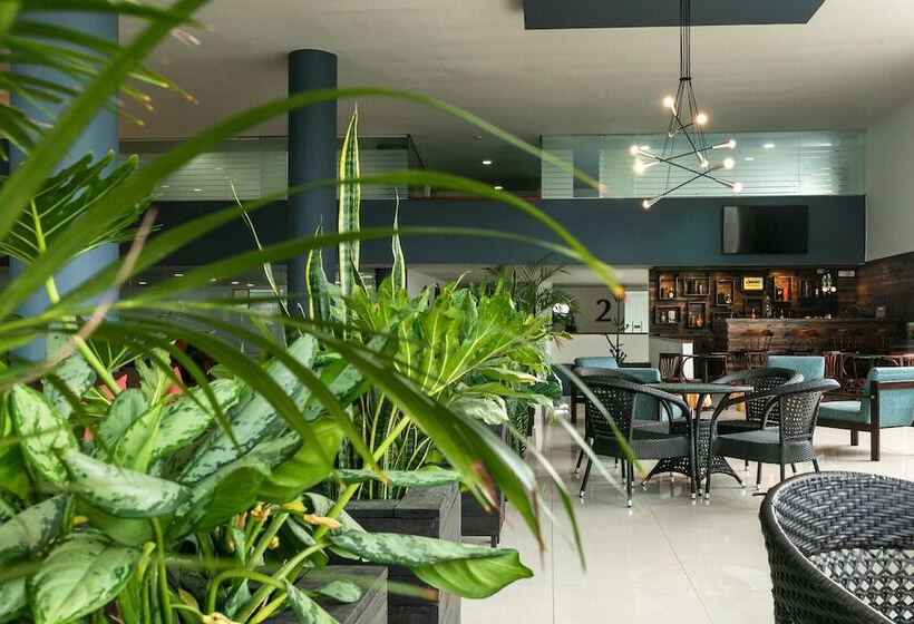 Fotos del hotel Carretero:  3