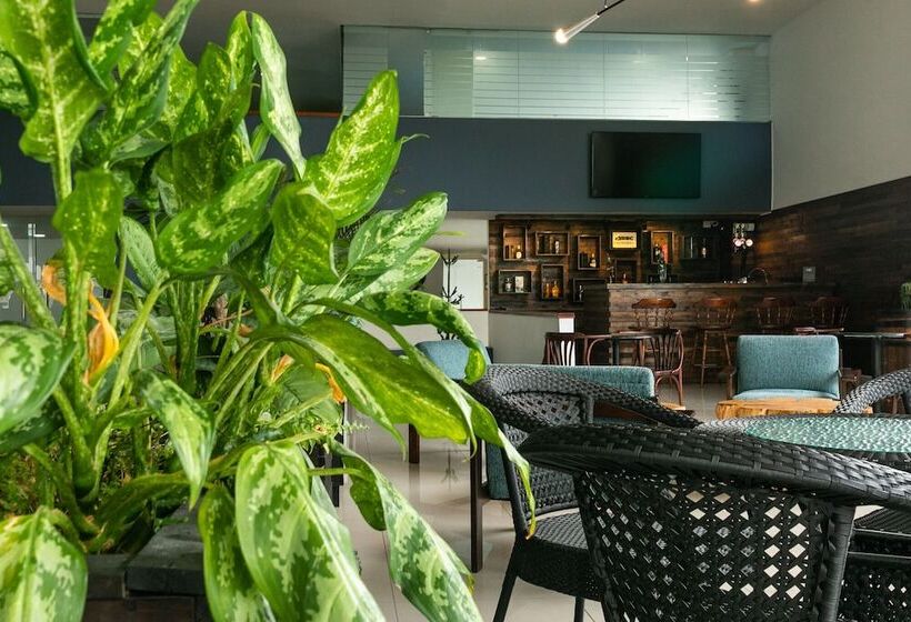 Fotos del hotel Carretero:  4