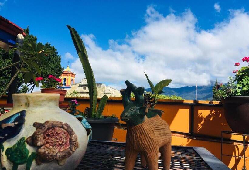 Fotos del hotel Cazomalli Oaxaca:  16