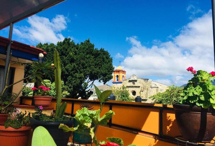 Fotos del hotel Cazomalli Oaxaca:  9