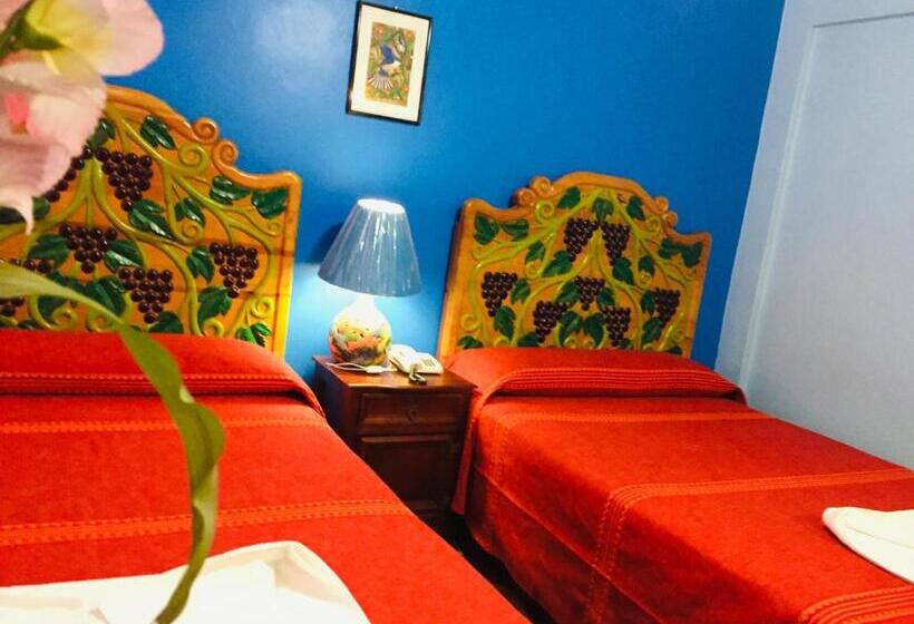 Fotos del hotel Cazomalli Oaxaca:  3