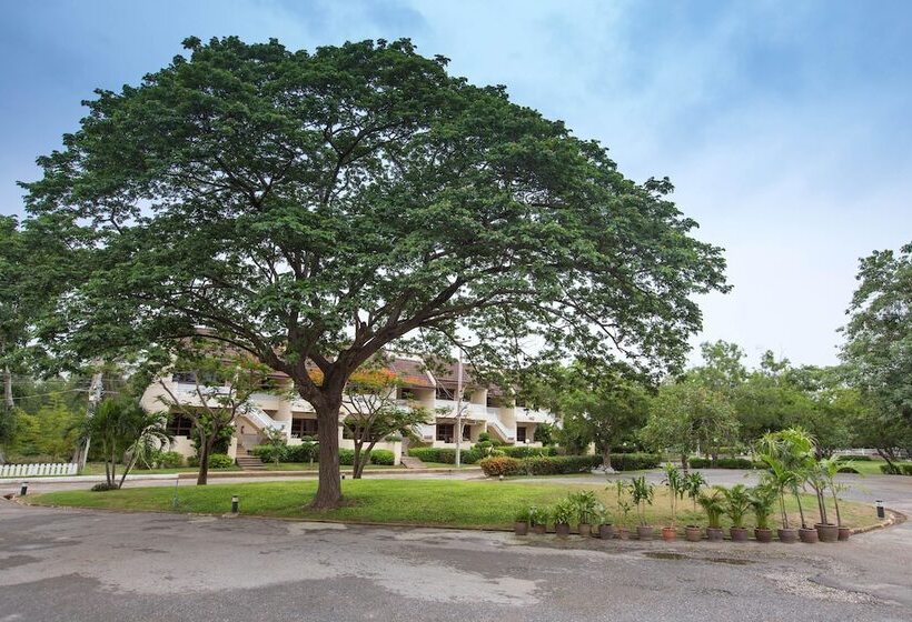 هتل Eurasia Chaam Lagoon