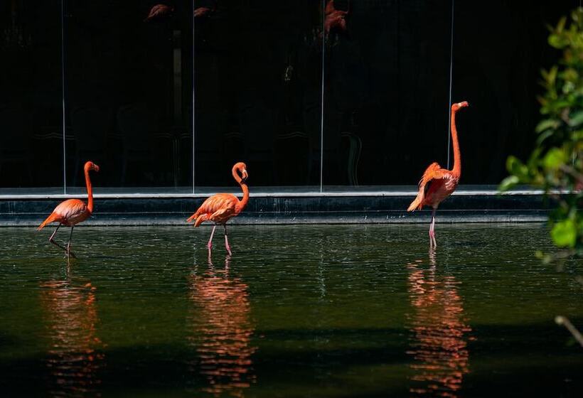 Fotos del hotel Grand Bavaro Princess - All Inclusive:  25