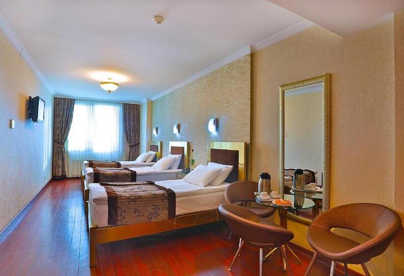 Fotos del hotel Grand Madrid:  13