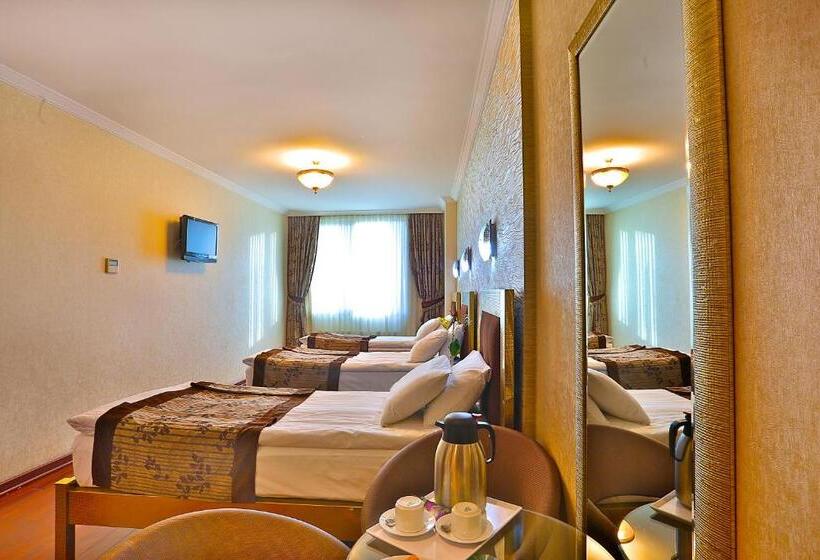 Fotos del hotel Grand Madrid:  20