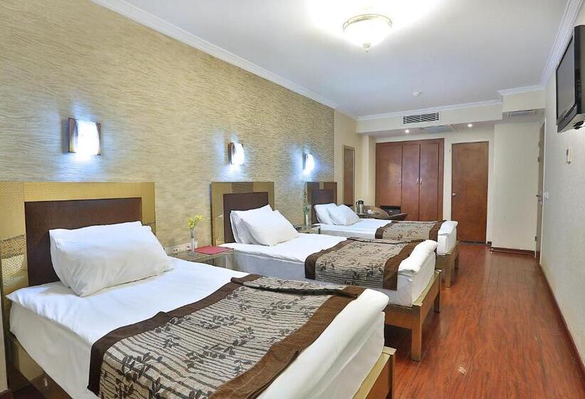 Fotos del hotel Grand Madrid:  6