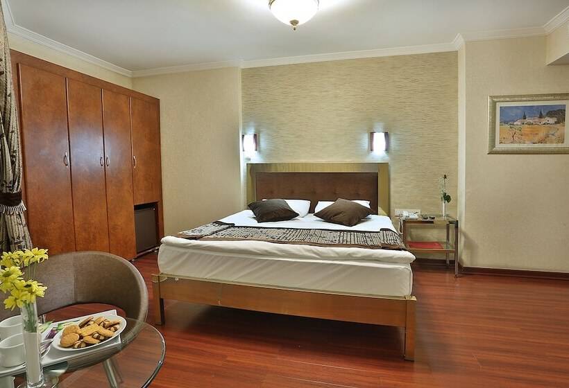 Fotos del hotel Grand Madrid:  14