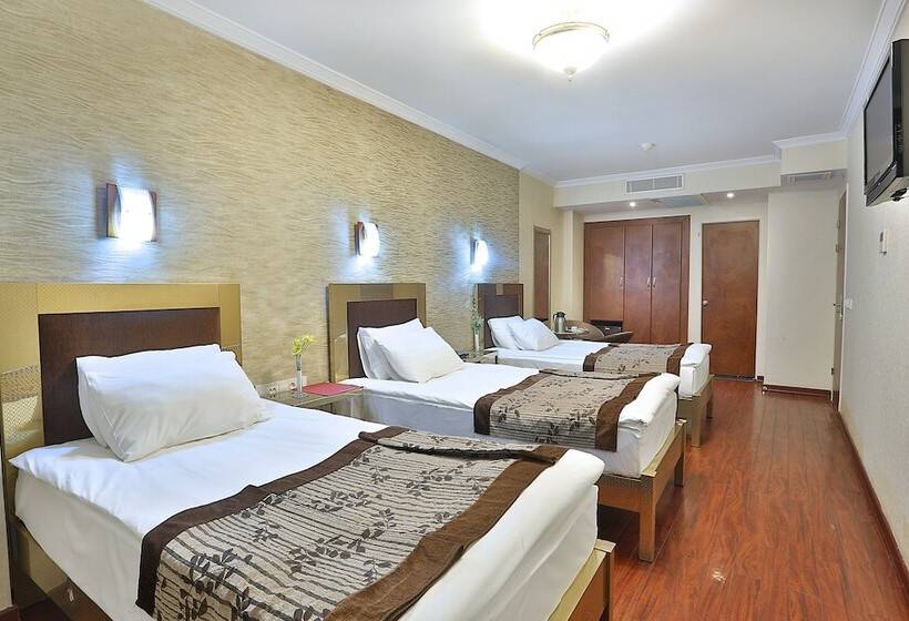 Fotos del hotel Grand Madrid:  9