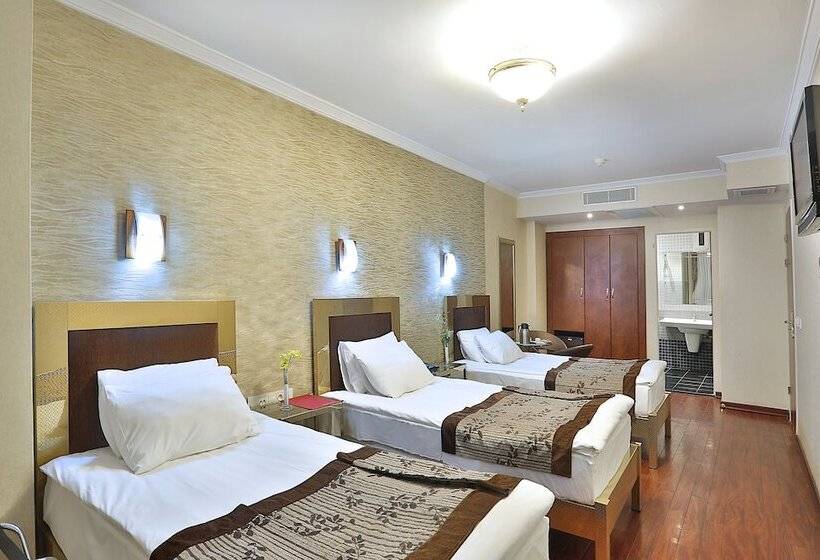 Fotos del hotel Grand Madrid:  12