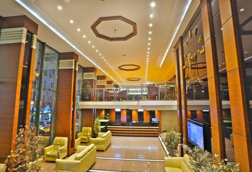 Fotos del hotel Grand Madrid:  27