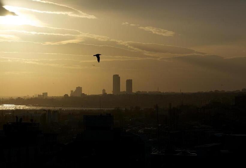 Fotos del hotel Grand Madrid:  43