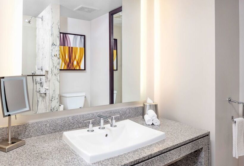 Fotos del hotel Hilton Club West 57th Street New York:  27