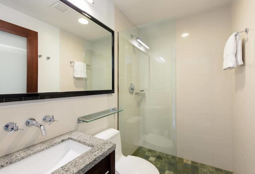 Fotos del hotel Marriott Vacation Club Pulse, New York City:  17