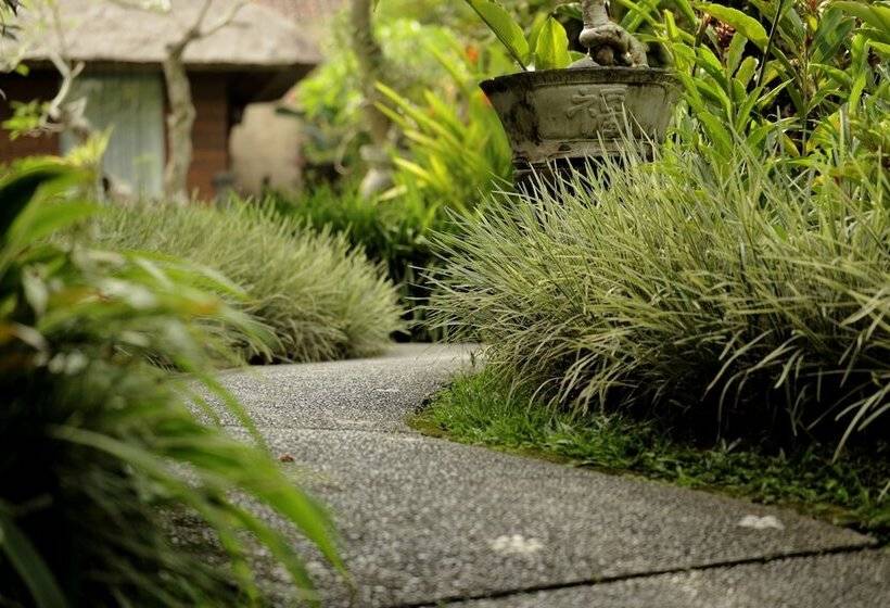 Fotos del hotel Sri Ratih Cottages:  21