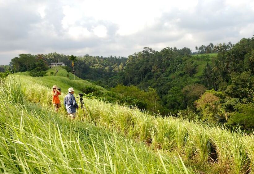 Fotos del hotel Sri Ratih Cottages:  19