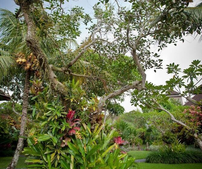 Fotos del hotel Sri Ratih Cottages:  10