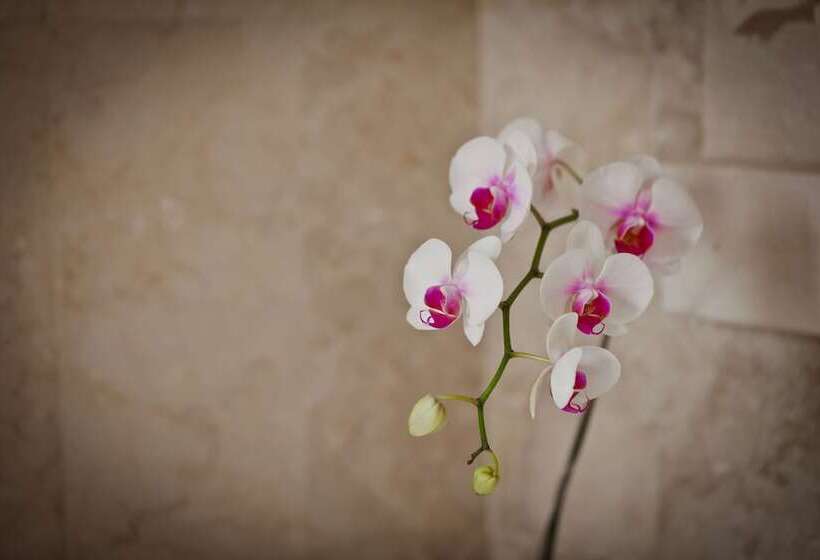 Fotos del hotel Sri Ratih Cottages:  4