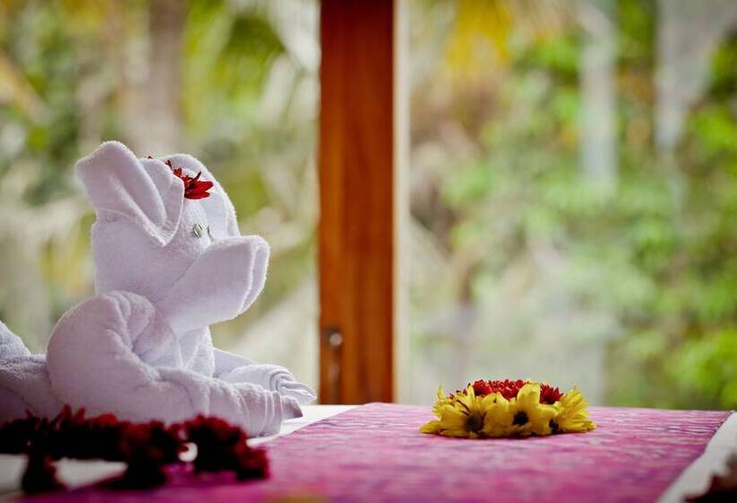 Fotos del hotel Sri Ratih Cottages:  30