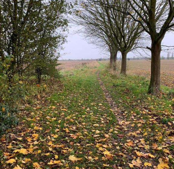 فندق Ye Olde White Harte