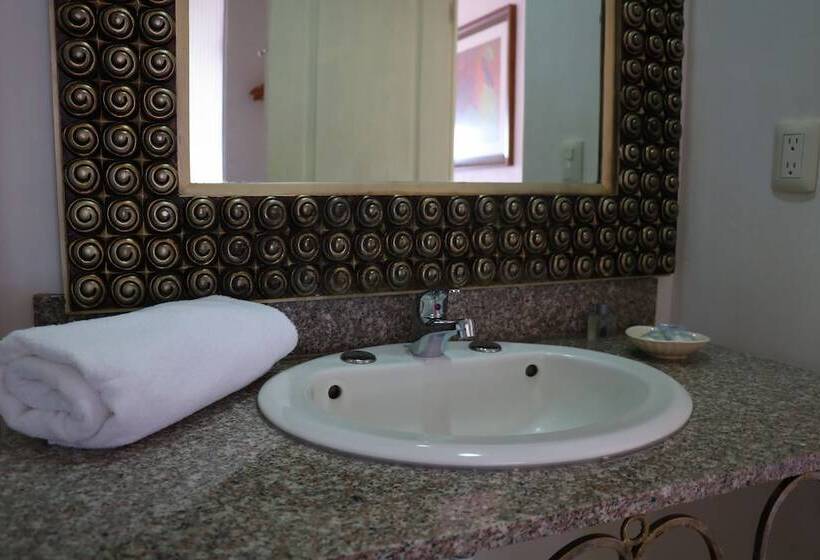 هتل Zar San Luis Potosi
