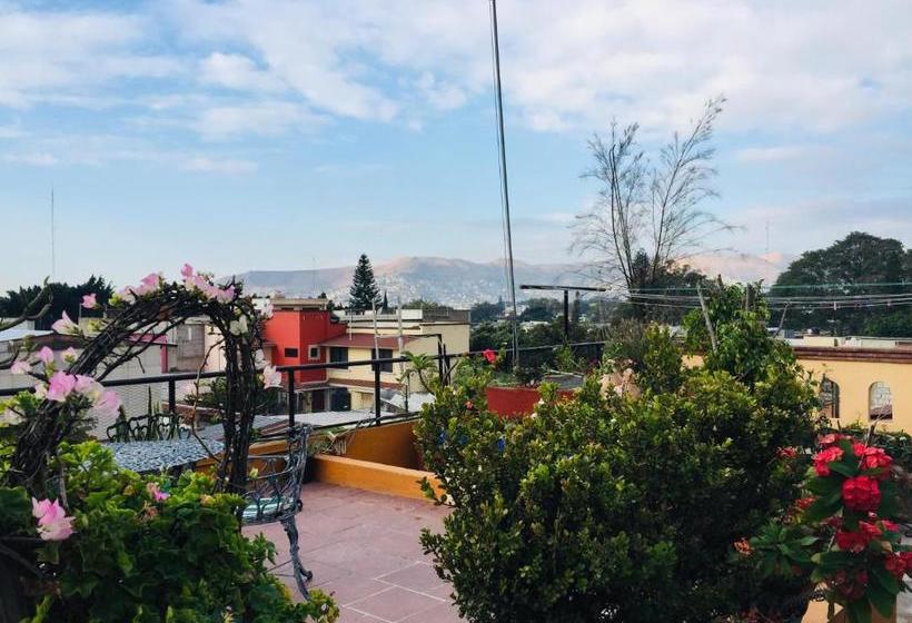 Fotos del hotel Cazomalli Oaxaca:  33