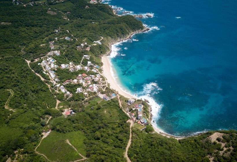 فندق Pacific King