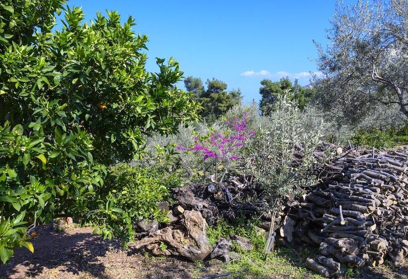 펜션 Magda Hotel Apartments